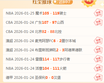 海牙强势来,维迪斯迎战,实力之师,世界杯半决赛,2026世界杯,比赛分析,各队表现,赛事直播